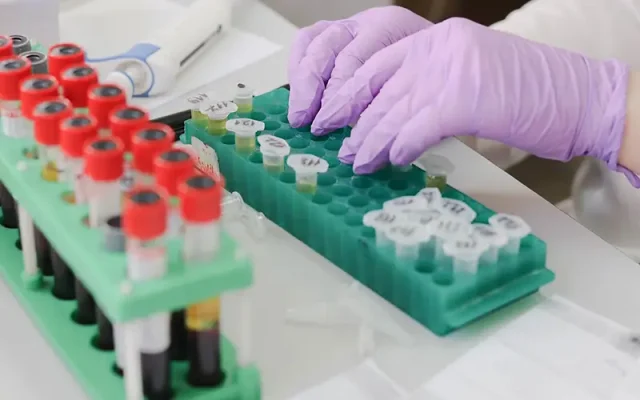 lab